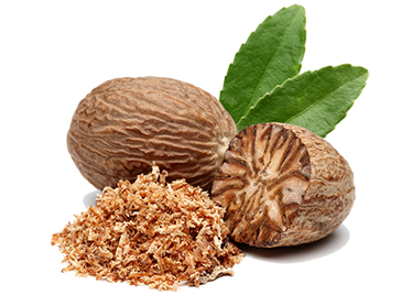 Gałka muszkatołowa